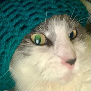 Meet your Posher, Nelly